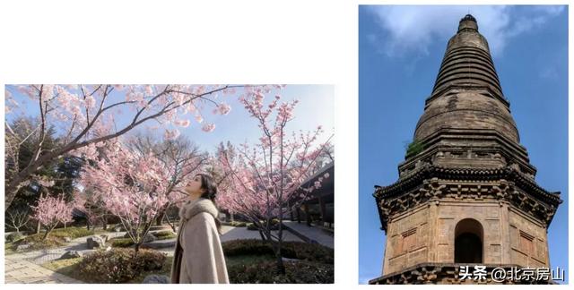 叮！邀您一起体验冬至和元旦仪式感