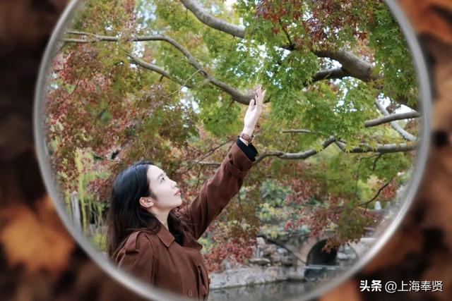 谁懂啊！这些打卡地的秋，连落叶都在教你拍照→