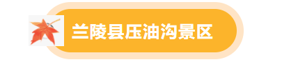 临沂景区福利宠粉，“天赋一‘饼’”临沂主场美食PK来啦