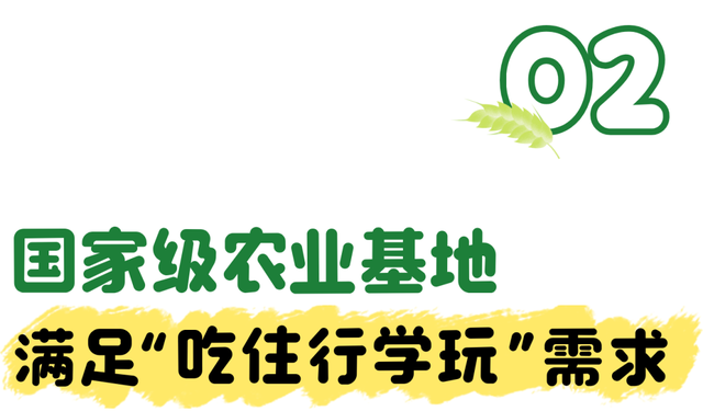假期火了！金湾藏着个小众乐园！