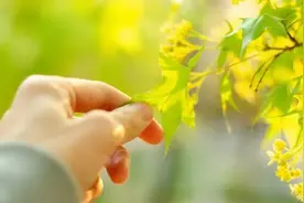 人到中年才明白，与亲兄弟姐妹“断交”，是人生中不明智的选择图片