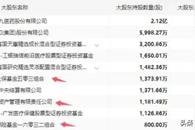 国家队重仓医药股，中央汇金6只，证金4只，含中药与创新药龙头图片