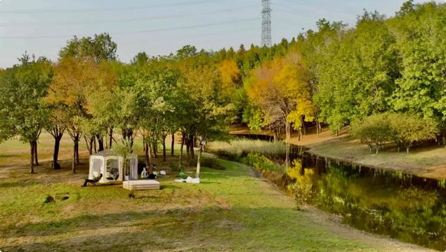 谁说初冬只有萧瑟？来太白湖新区解锁绚烂生机打卡地