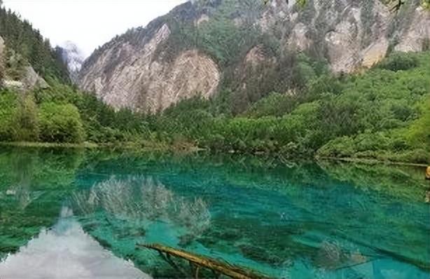 【美丽四川】九寨归来不看水‖管恒庆