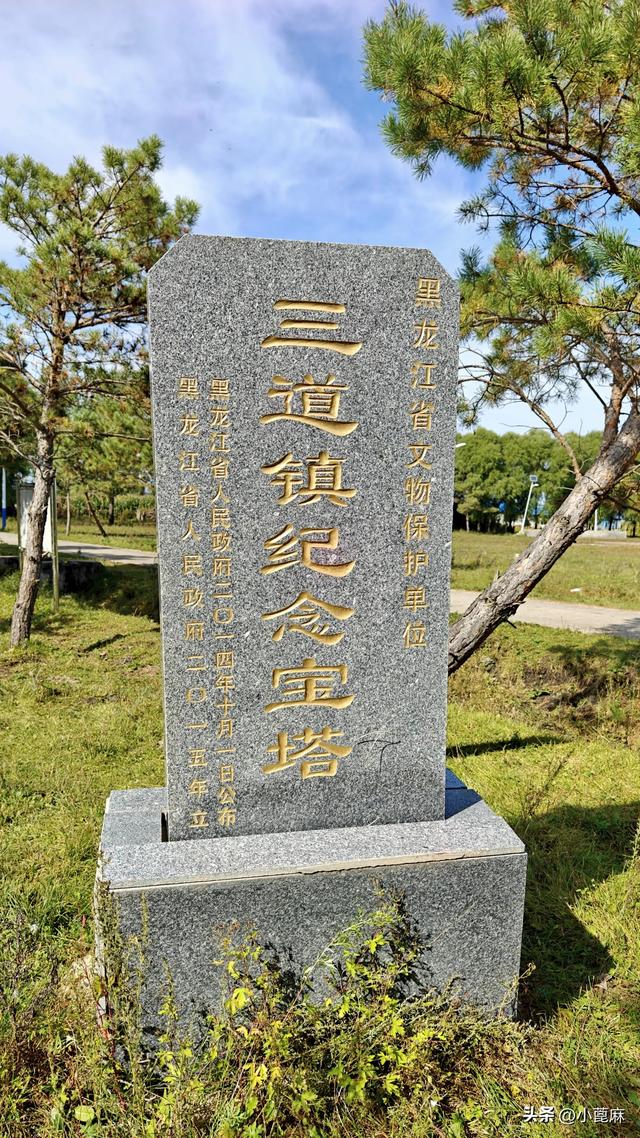 2025我的寻秋之旅D4 海伦—依安