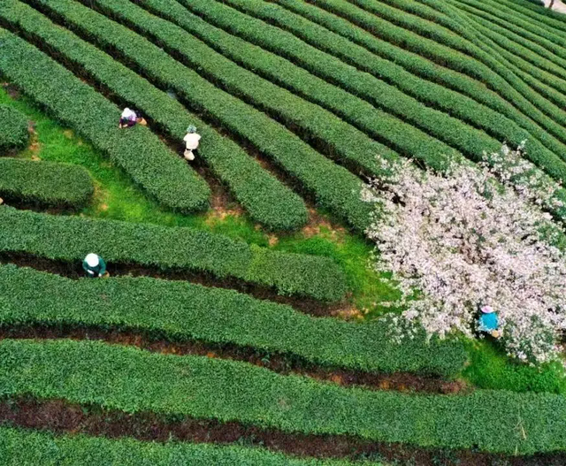 出游 │ 栖居山水间， 解锁余庆夏天快乐！