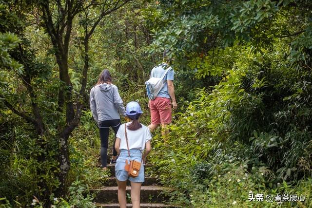 带10岁女儿登山，她冲向山顶时我浑身冰凉：“爸爸，别再推我了”