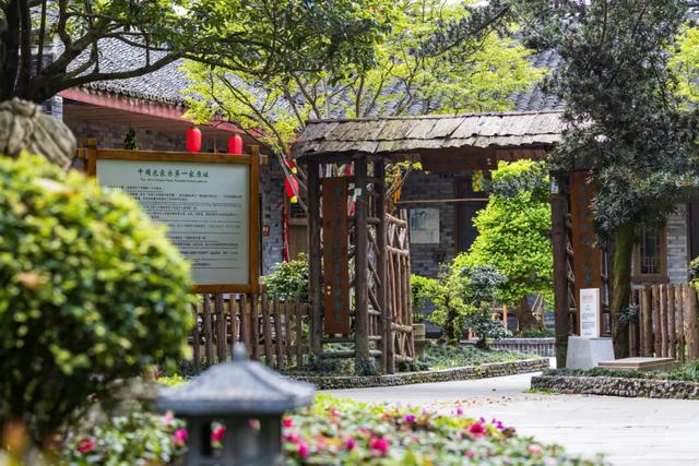 金秋双节游郫都丨这些宝藏点位藏不住了！好吃好拍还免费~