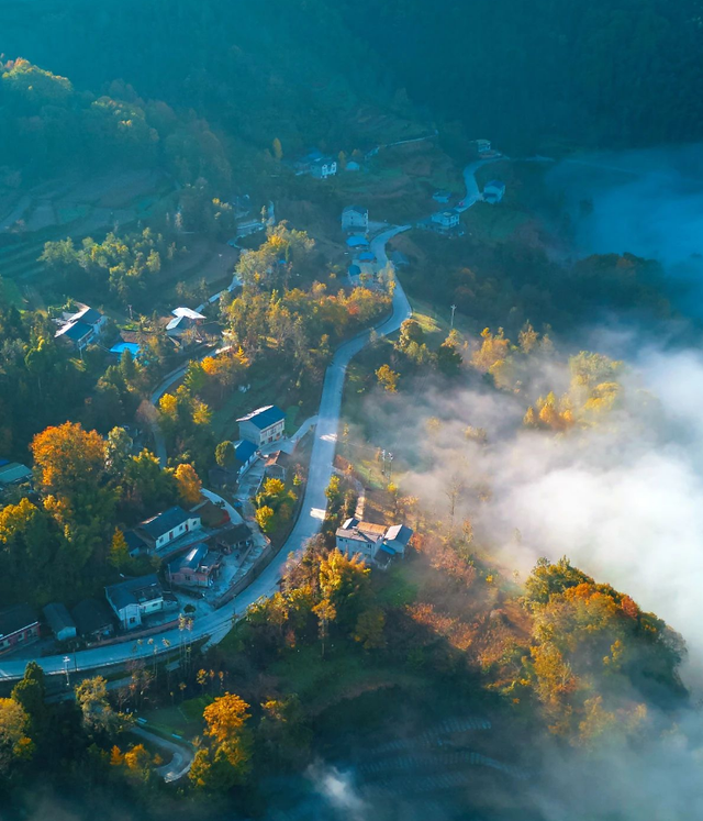 走不出这画了，我已被平武的彩林迷倒！