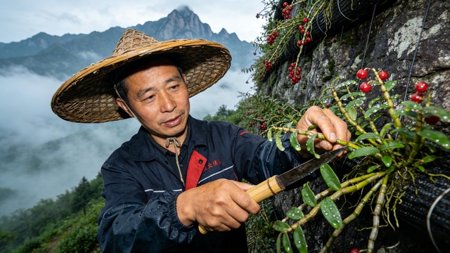 大美安徽初冬六安行，山水蕴新章！