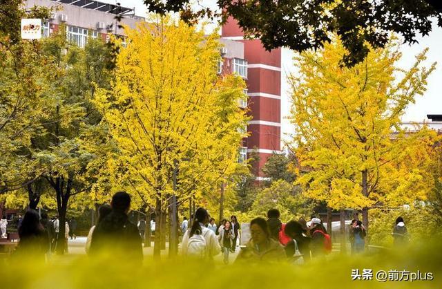 古城与秋叶的交响