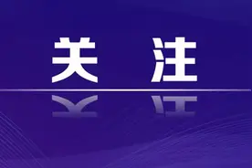 重点整治散播戾气等同城信息突出问题，网信办出手图片