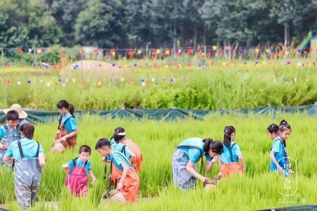 年会抢先看 | 打卡通州！9条特色文旅线路，解锁千年运河新玩法