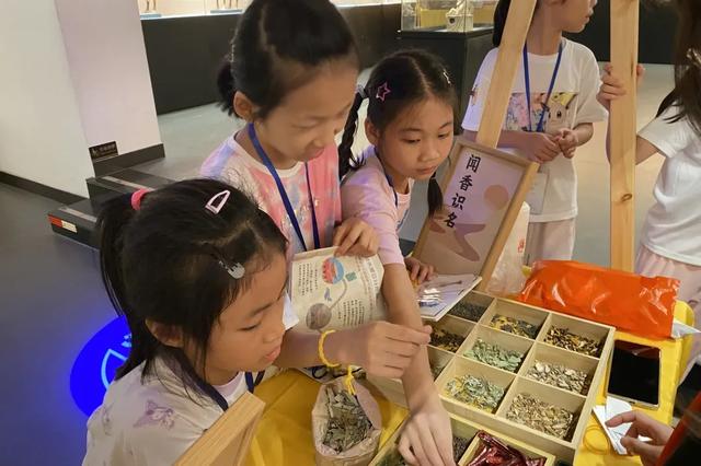 快来！家门口的博物馆：广东大观博物馆暑期活动全攻略