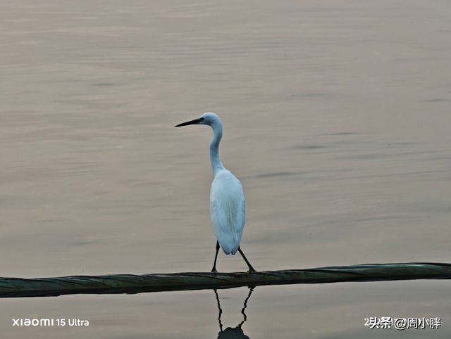 15分钟617人登顶龙亭大殿，传统观光景区迈向沉浸夜游的关键一步