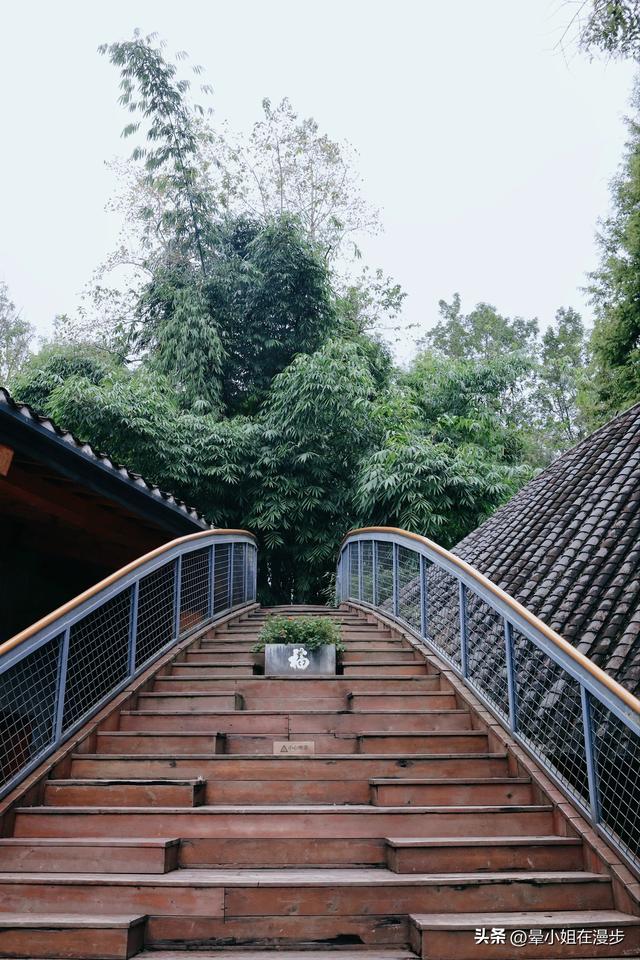 崇州竹艺之旅，带娃去去逛竹村、玩竹编、爬竹山、捡秋竹