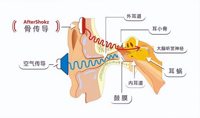 怎么选择适合自己的开放式耳机？2025最新耳挂式蓝牙耳机推荐
