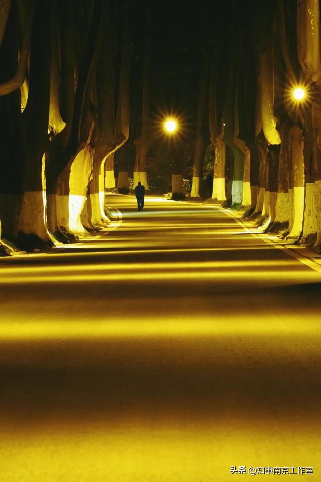 51张照片告诉你，南京的秋天有多美！