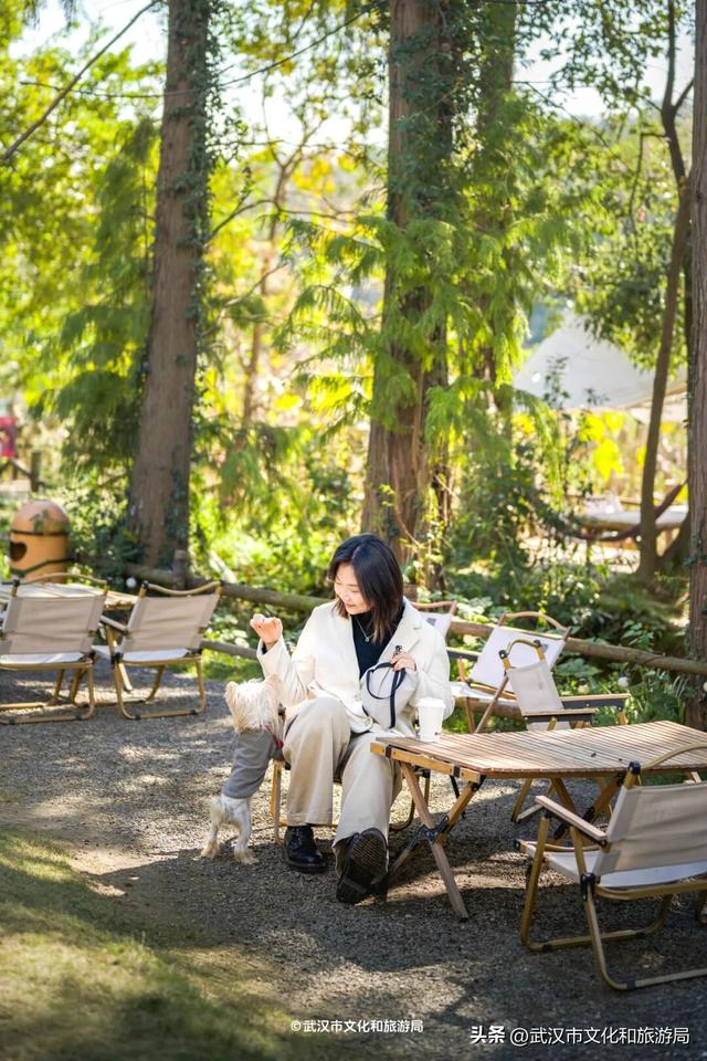 直冲20°C！武汉赏秋天花板，上新3个玩法