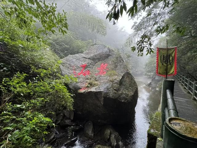 追梦老顽童戴树民：捞河之源，迷人周洛