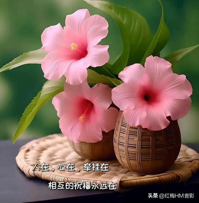 人生感悟:看淡人间事 释怀心中念