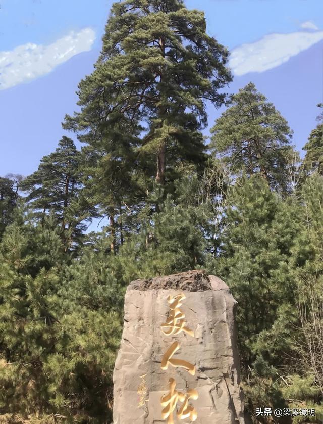 长白山美人松公园——吉林游（4）