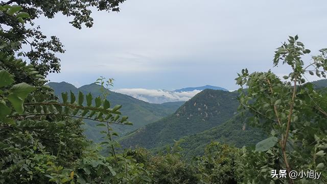 雨后徒步辽阳梨花峪，云雾缭绕｜木栈道、山地草甸、网红秋千