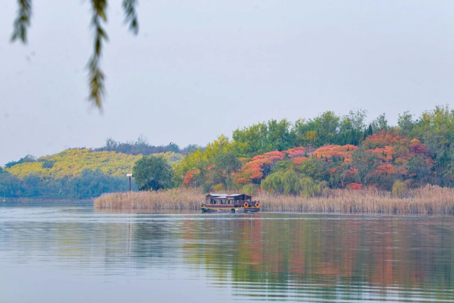 即刻出发，解锁淄博「秋日限定」模式，错过等明年！