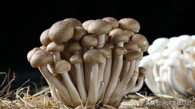 吃火锅时，老板最想你点6道菜，后厨一上菜，老板立马转身算成本
