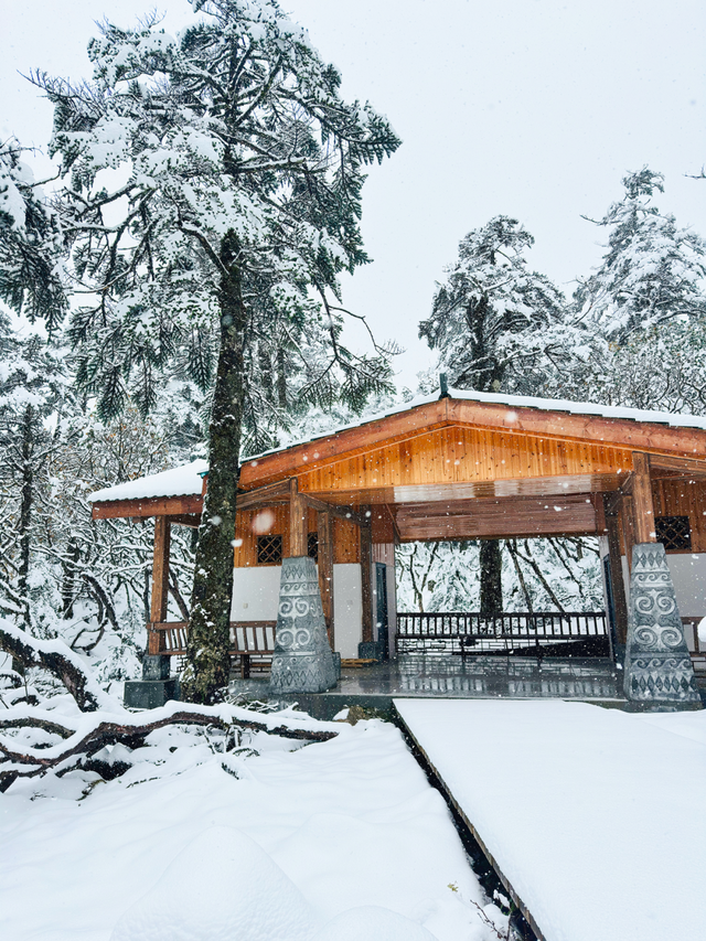 四川人盼初雪的心情谁懂！