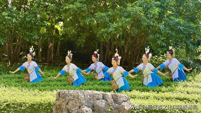 不出远门一样精彩！柳州各大公园日程表出炉，照着玩就对了→