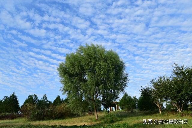 河北省第九届旅发大会主会场——邢台•襄湖森林公园（图）