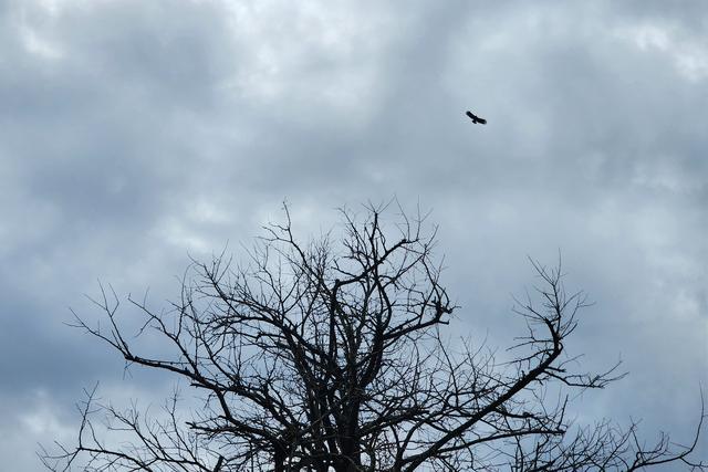 五上径山（游径山寺）