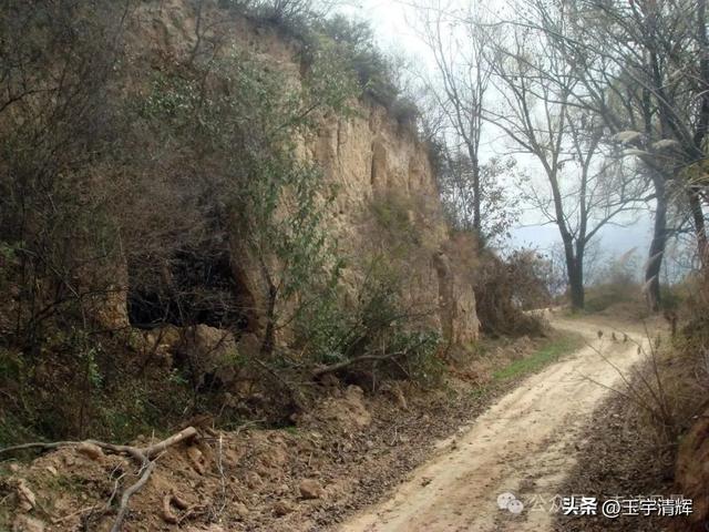 【知青】陈光中: “谁教育谁”？这是一个伪命题