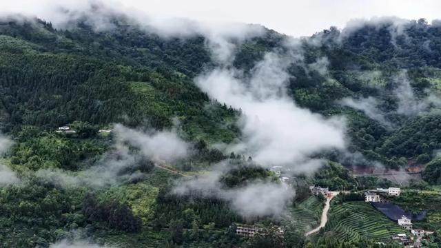 探索三猛逸境丨梯田茶旅打卡活动开启，邀您共赴绿春秘境！