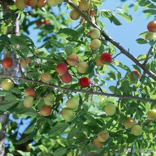 一路出色，打卡保定3条色彩秘境