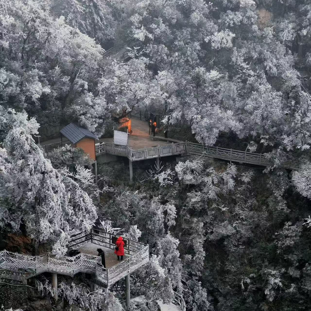 湘南荒山野岭火到韩国！本地人都少去，韩媒却眼红