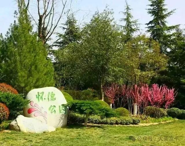 花期、地点、路线，富平春天赏花全攻略！