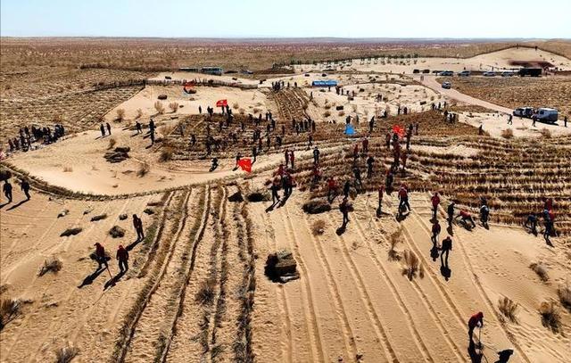 美国专家：这县城必成罗布泊！4万年轻姑娘不信邪，直接杀到沙漠