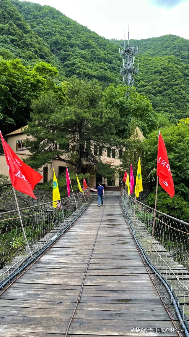 初秋黑河嘹咋咧!来一趟,一来一个不吱声!