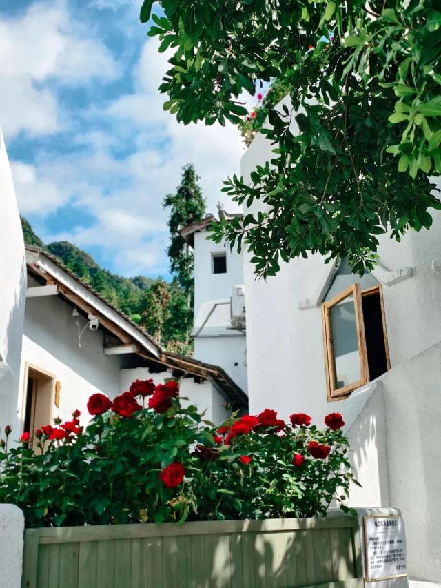 跟着赛事游遵义 │ 冬季文旅“四件套”之温泉！解锁播州暖身又暖心的“养生趴”