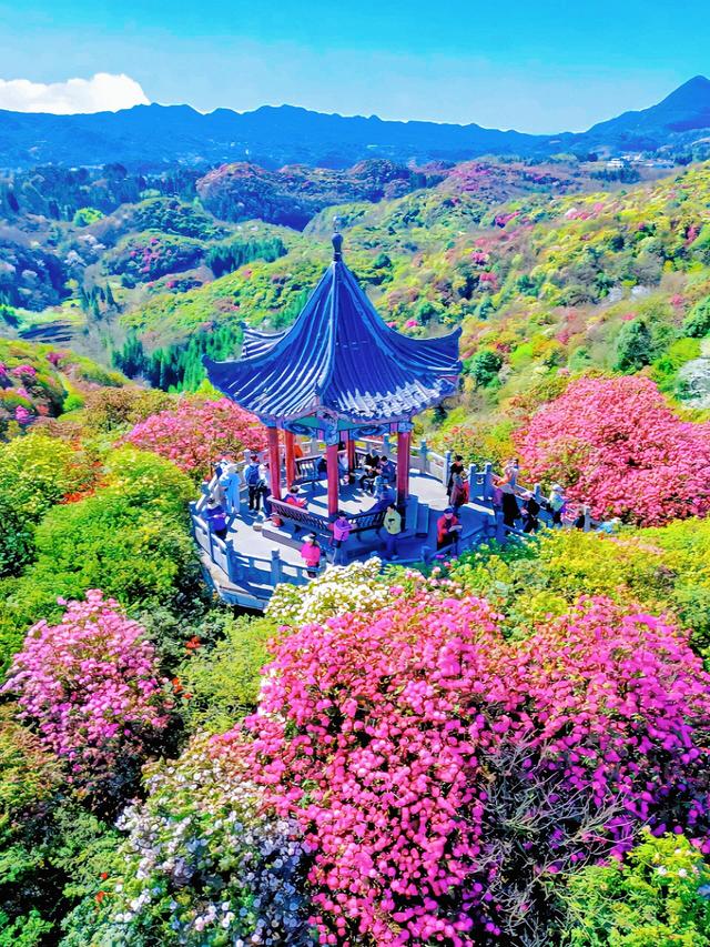 暑假来贵州毕节避暑，与 21℃的夏天，撞个满怀！