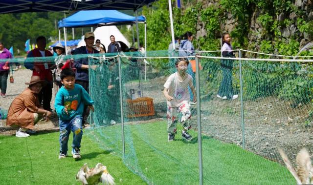 富阳躺溪、桐庐摸鱼、建德“冻人”、淳安赶鸭、萧山看日出……享受清凉夏天，这个周末你PICK哪一个?