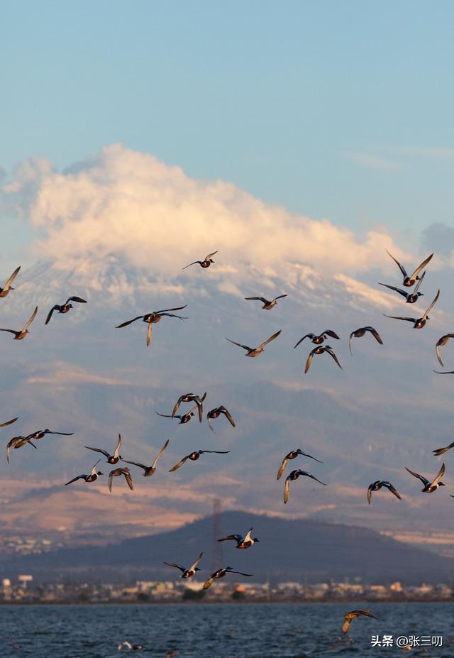 被雨水“埋葬”的超级机场，如今成了世界级湿地公园