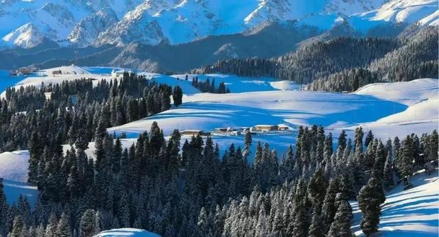 新疆江布拉克雪景，晨曦轻抚白线条，游客被纯净美景震撼