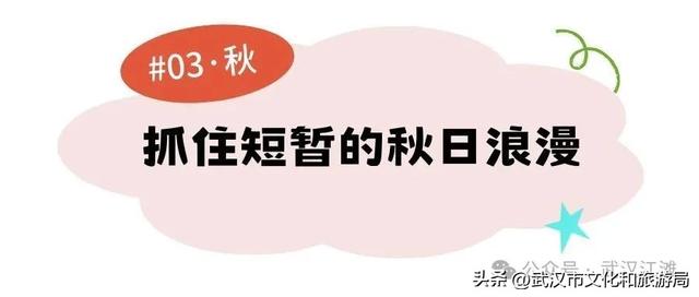 大学四年，如何玩转武汉江滩？新生必看→
