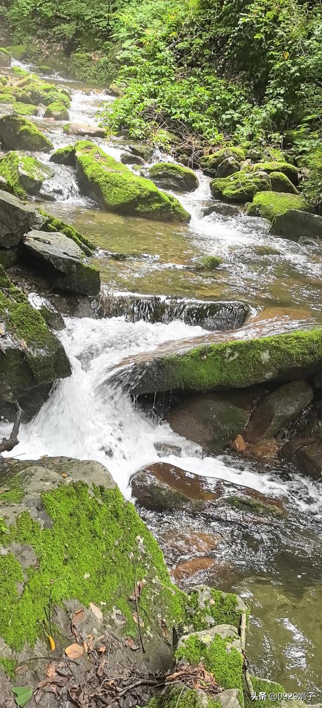 只见山水，不恋家