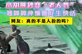 惬意！熊猫翘脚秒变老大爷图片