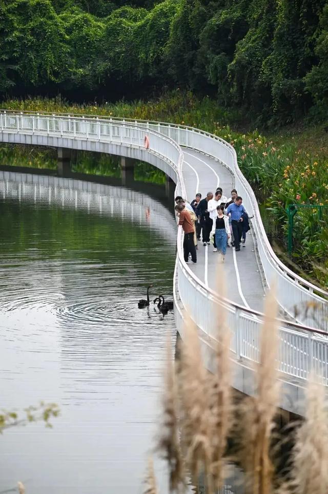 谁说重庆没有秋天?都藏在这些公园里→