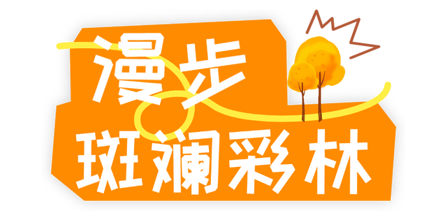 没有人能拒绝阿坝州的秋天！
